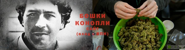 spice Абаза